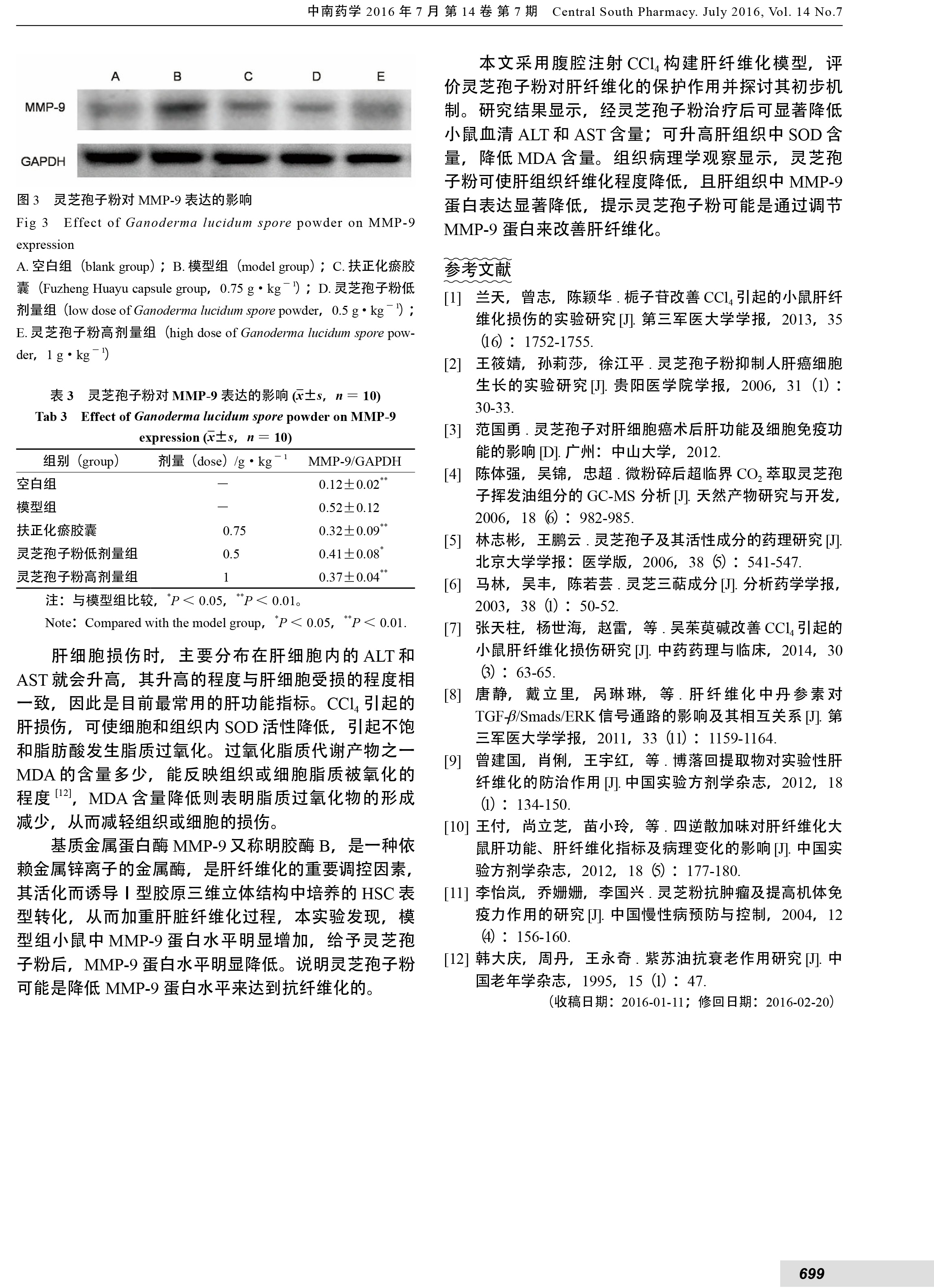 221 靈芝孢子粉保護CCl_4引起的小鼠肝纖維化損傷的實驗研究-4.jpg